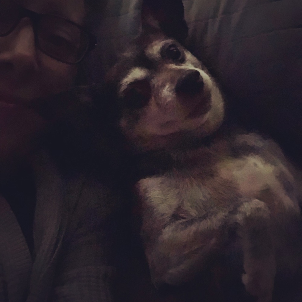 Meet your Posher, Melissa